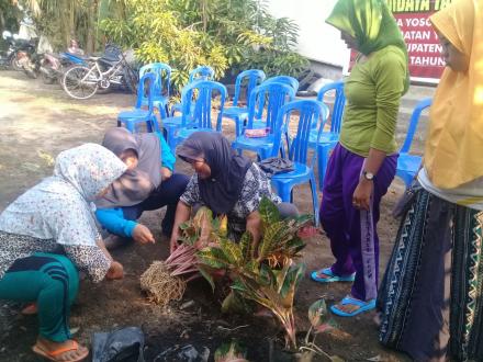 KEGIATAN POSBINDU DAN PELATIHAN TANAMAN HIAS DESA YOSOWILANGUN LOR